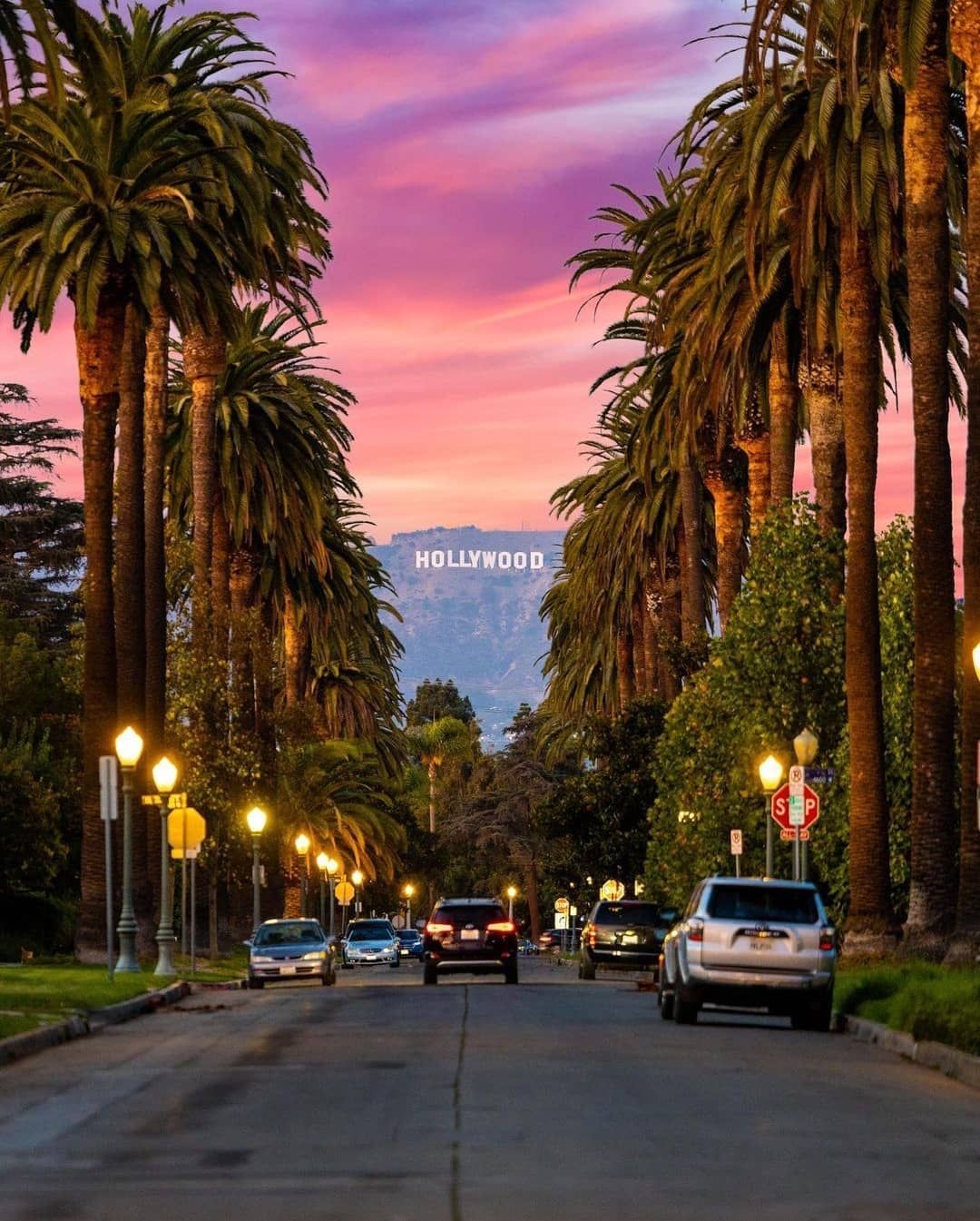 Palm-lined street with the Hollywood sign in Los Angeles